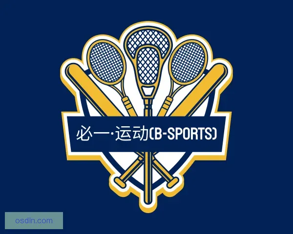 认识b体育登录入口app下载安装免费